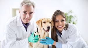 Veterinary Service