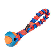 Dog Tug Toy