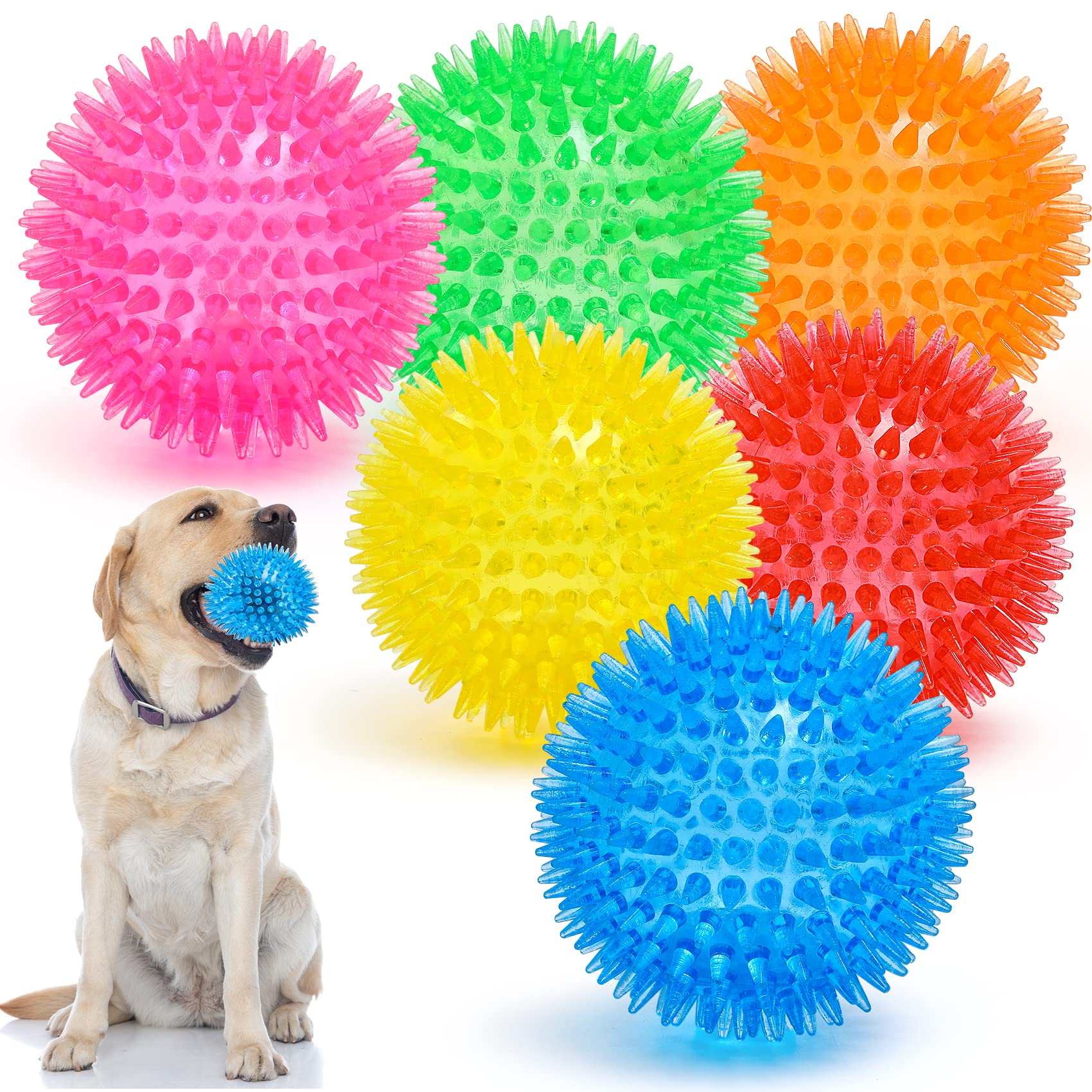 Squeaky Ball Dog Toys