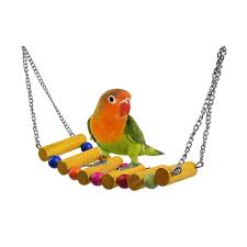 Bird Swing Toy