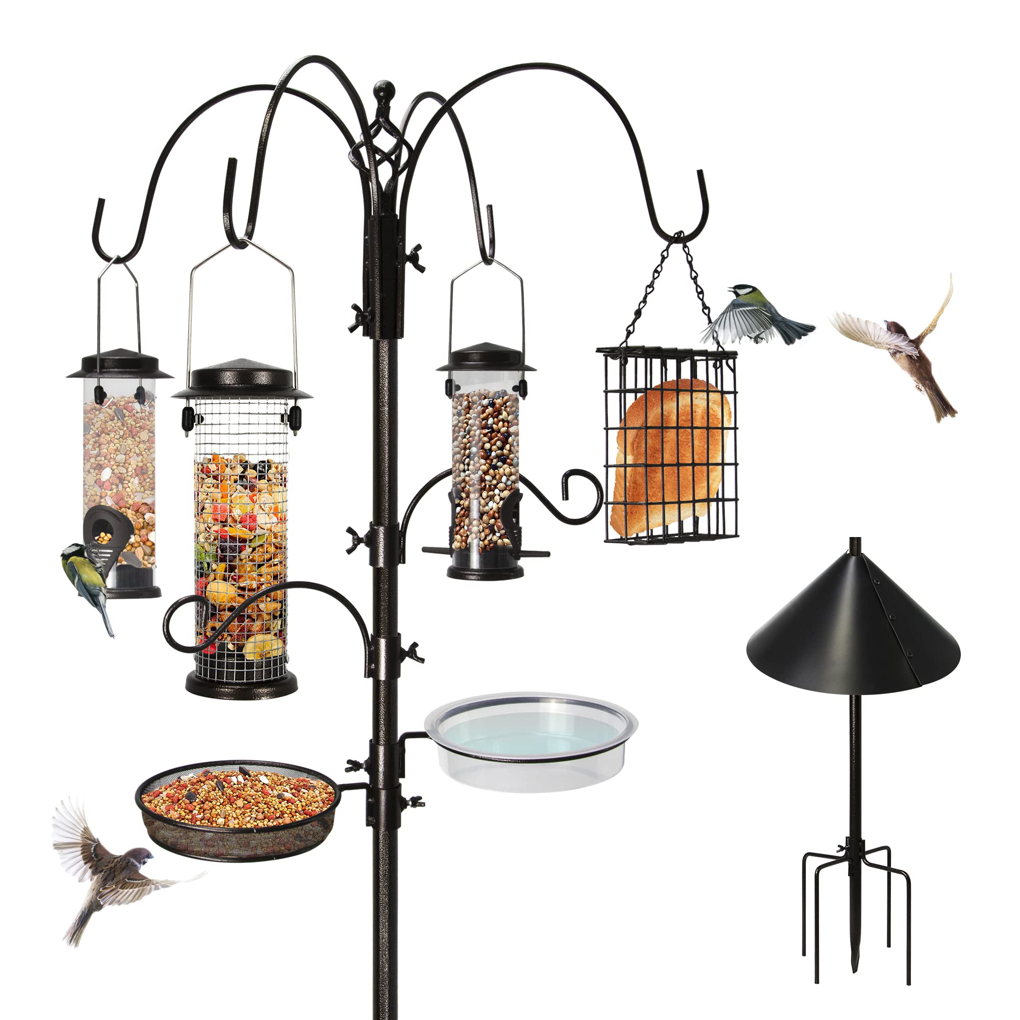 Bird Feeder