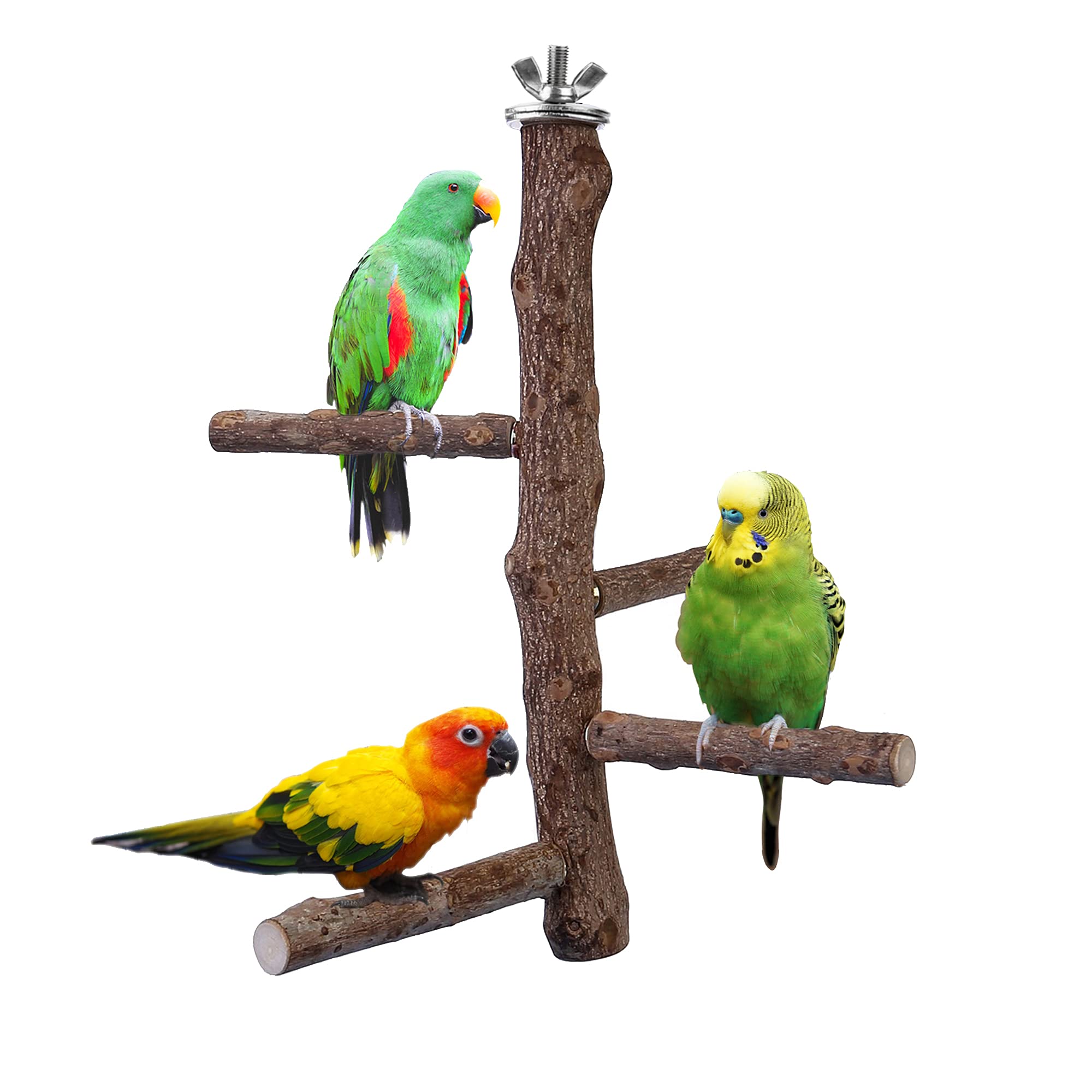 Bird Perch