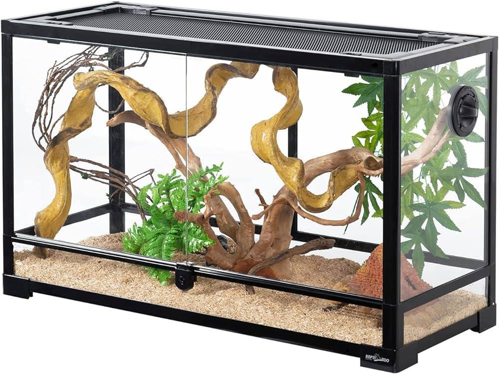 Reptile Terrarium