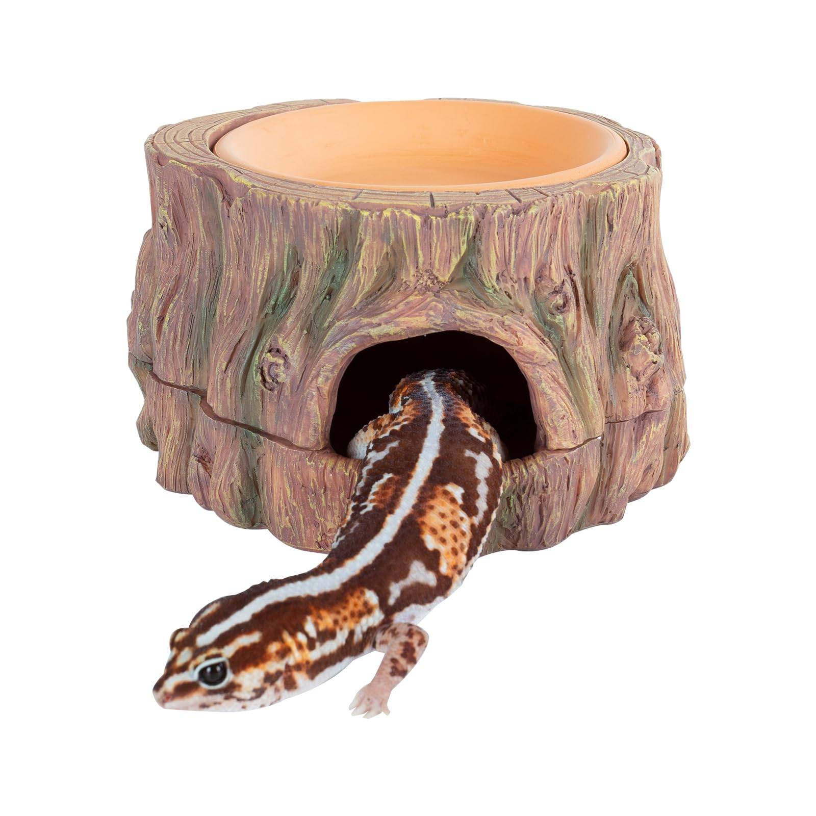 Reptile Hideout Cave