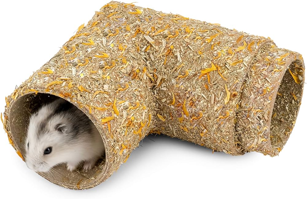 Hamster Tunnel