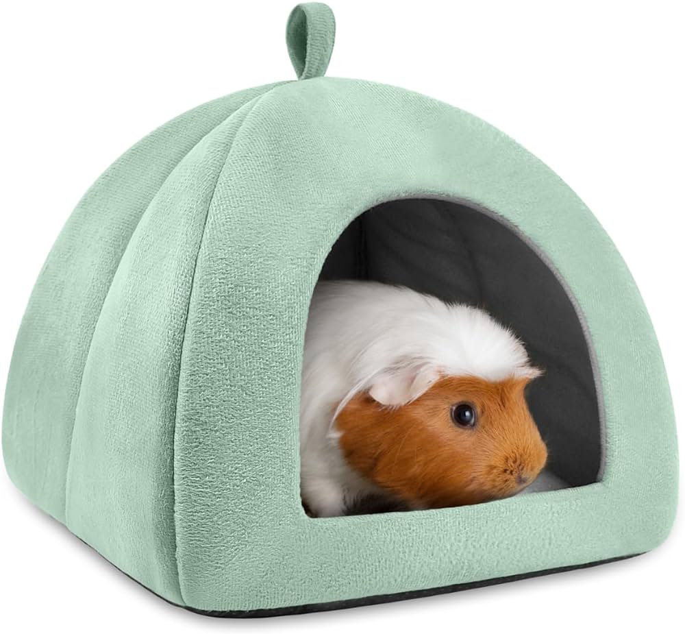 Guinea Pig Hideout